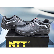 Giày bảo hộ NTT hộp cao cấp